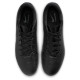Nike Legend 10 Academy FG/MG